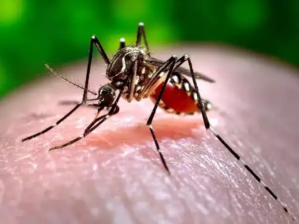 What is the hotspot analysis of dengue?